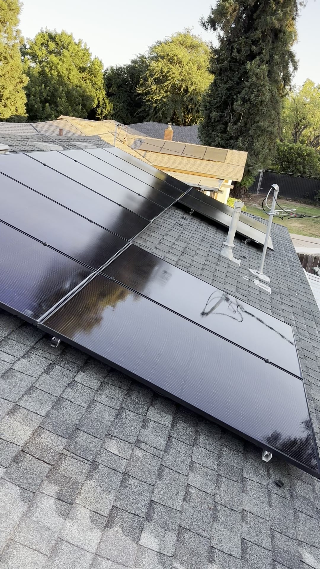 Rooftop solar array cleaned to a flawless, streak-free black finish, glowing in golden-hour light with trees behind it.